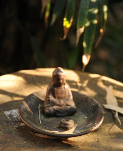 How to Buddha-like equanimity in Vipassana